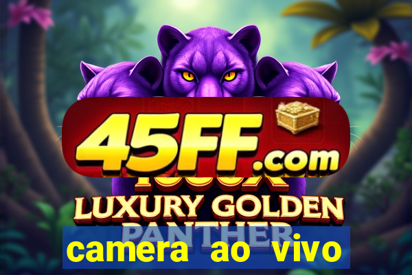 camera ao vivo terminal vila nova cachoeirinha
